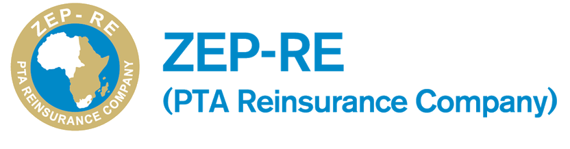 Digital Inclusivity T&C`s – ZEP-RE